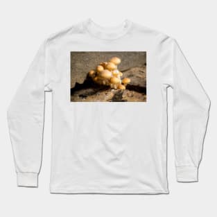 slb wild Long Sleeve T-Shirt